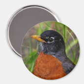 Ein merkwürdiger und hoffnungsvoller amerikanische magnet (Vorderseite/Rückseite)