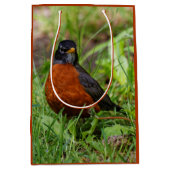 Ein merkwürdiger und hoffnungsvoller amerikanische mittlere geschenktüte (Vorderseite)