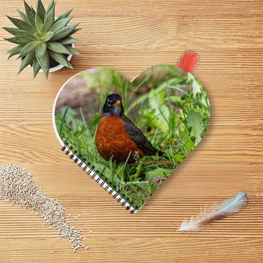 Ein merkwürdiger und hoffnungsvoller amerikanische notizbuch