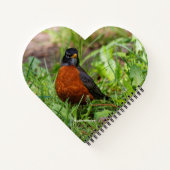 Ein merkwürdiger und hoffnungsvoller amerikanische notizbuch (Rückseite)