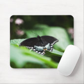 Ein merkwürdiges Mousepad (Mit Mouse)