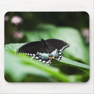 Ein merkwürdiges Mousepad