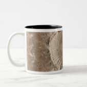 Ein meteoriter Aufprallkrater Zweifarbige Tasse (Links)