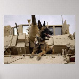 Ein Militärfunktionshund sitzt auf einem M2A3 Poster