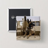 Ein militärisch arbeitender Hund sitzt auf einem M Button (Vorne & Hinten)