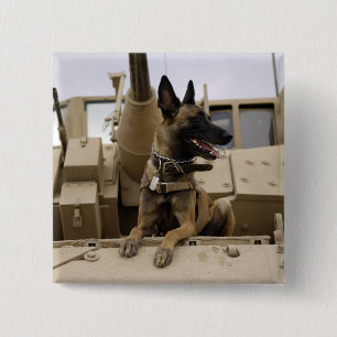 Ein militärisch arbeitender Hund sitzt auf einem M Button