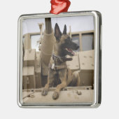 Ein militärisch arbeitender Hund sitzt auf einem M Silbernes Ornament (Links)