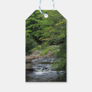 Ein Miniaturwasserfall Geschenkanhänger