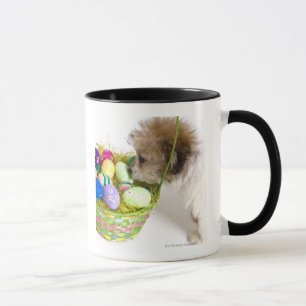 Ein Mischzuchtwelpe, der an einem Ostern-Korb Tasse