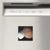 Ein mit Aeroshell angereichertes Raumfahrzeug nähe Magnet (In Situ (Geschirrspüler))