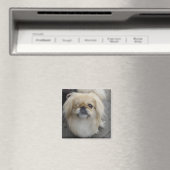 ein mit Augen Hund Magnet (In Situ (Geschirrspüler))