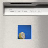 Ein Mittelmeerlemon Magnet (In Situ (Geschirrspüler))