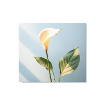 Ein Moment des Friedens Calla Lily Minimaler Reali