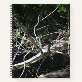 Ein Moment des Light Spiral Notebooks Notizblock