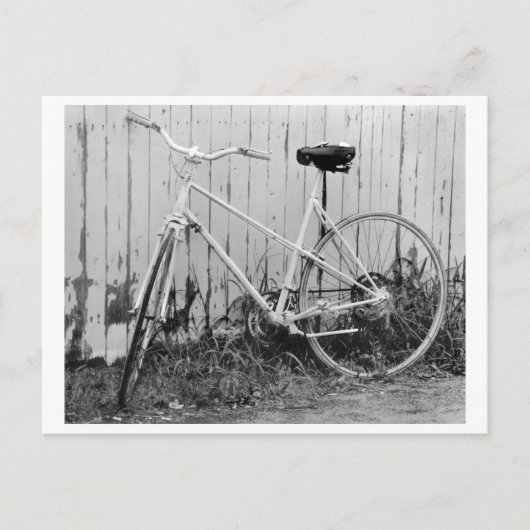 Ein Moment in der Zeit Postkarte (Vorderseite)