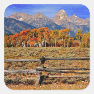 Ein Moment in Wyoming im Herbst Quadratischer Aufkleber