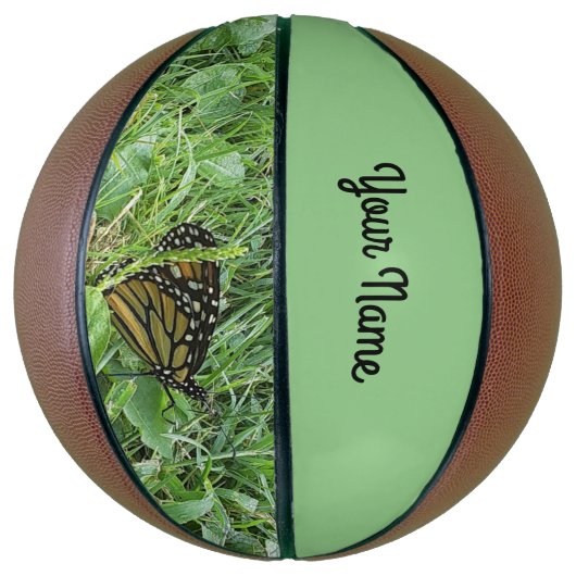 Ein Monarchen Butterfly Basketball (Vertikal)