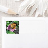 Ein Monarchen-Schmetterling auf der Blume (Insitu)