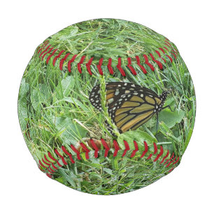Ein Monarchen-Schmetterling Baseball