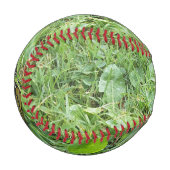 Ein Monarchen-Schmetterling Baseball (Vorderseite Links)