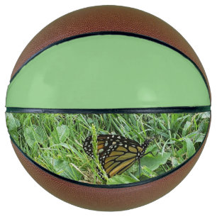 Ein Monarchen-Schmetterling Basketball
