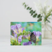 Ein Monarchen-Schmetterling | Danaus Plexippus Postkarte (Stehend Vorderseite)