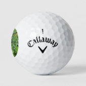 Ein Monarchen-Schmetterling Golfball (Logo)