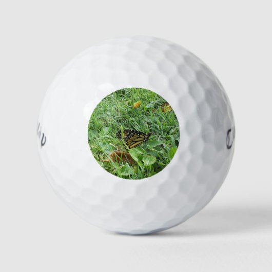 Ein Monarchen-Schmetterling Golfball (Vorderseite)