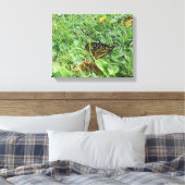 Ein Monarchen-Schmetterling Leinwanddruck (Insitu (Schlafzimmer))