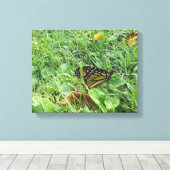 Ein Monarchen-Schmetterling Leinwanddruck (Insitu (Holzboden))