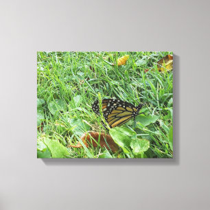 Ein Monarchen-Schmetterling Leinwanddruck