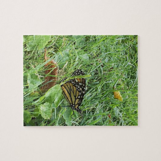 Ein Monarchen-Schmetterling Puzzle (Horizontal)