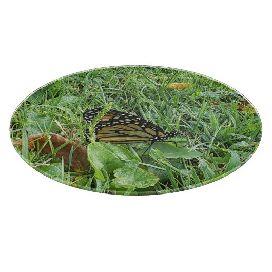 Ein Monarchen-Schmetterling Schneidebrett (Ecke)