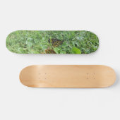Ein Monarchen-Schmetterling Skateboard (Horizontal)