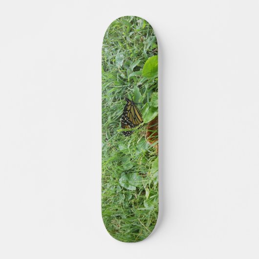 Ein Monarchen-Schmetterling Skateboard (Vorne)