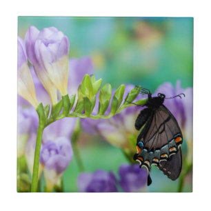 Ein Monarchfalter Danaus Plexippus Fliese