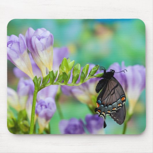 Ein Monarchfalter | Danaus Plexippus Mousepad (Vorne)