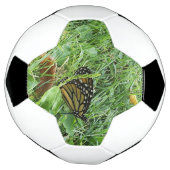 Ein Monarchfalter Fußball (Gedreht)