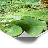 Ein Monarchfalter Poster (Ecke)