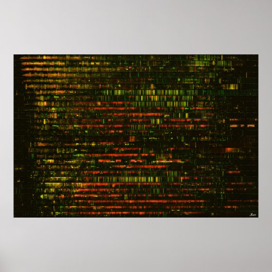 Ein Monat Klang: Poster (Vorne)