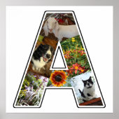 Ein Monogramm erstellen Sie Ihre eigene 6 benutzer Poster (Vorne)