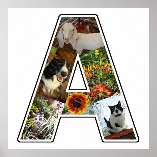 Ein Monogramm erstellen Sie Ihre eigene 6 benutzer Poster (Vorne)