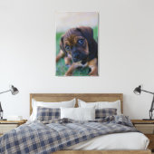 Ein Mops Cross Beagle Puppy (Puggle) Leinwanddruck (Insitu (Schlafzimmer))