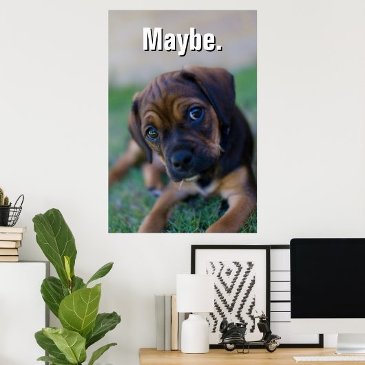 Ein Mops Cross Beagle Puppy (Puggle) Poster (Heimbüro)