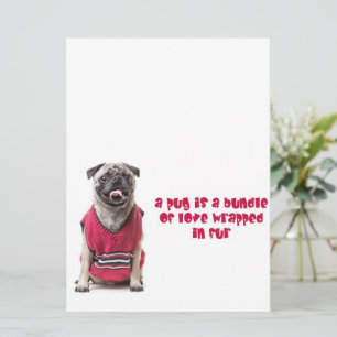 Ein Mops ist ein Bündel von Liebe, die in Pelz umm
