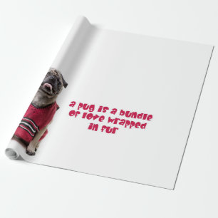Ein Mops ist ein Bündel von Liebe, die in Pelz umm Geschenkpapier