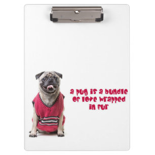 Ein Mops ist ein Bündel von Liebe, die in Pelz umm Klemmbrett
