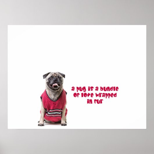 Ein Mops ist ein Bündel von Liebe, die in Pelz umm Poster (Vorne)