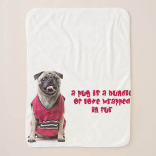 Ein Mops ist ein Bündel von Liebe, die in Pelz umm Sherpadecke