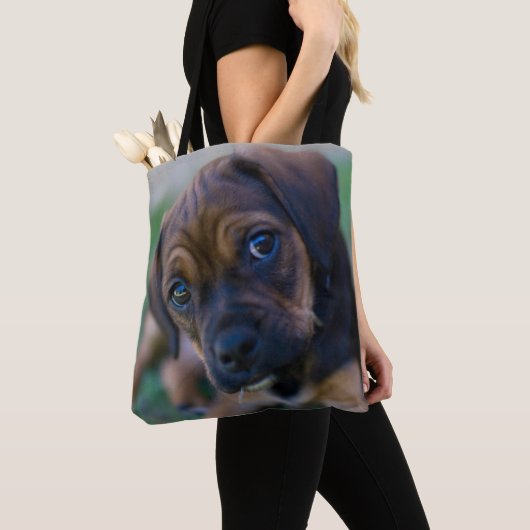 Ein Mops-Kreuz-Beagle-Welpe (Puggle) Tasche (Von Nahem)